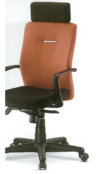 BL-24201 마에스트로 고급 대