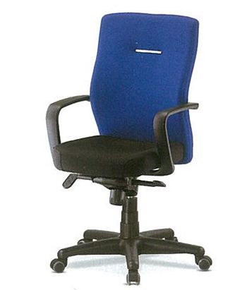 BL-24202 마에스트로 고급 중 