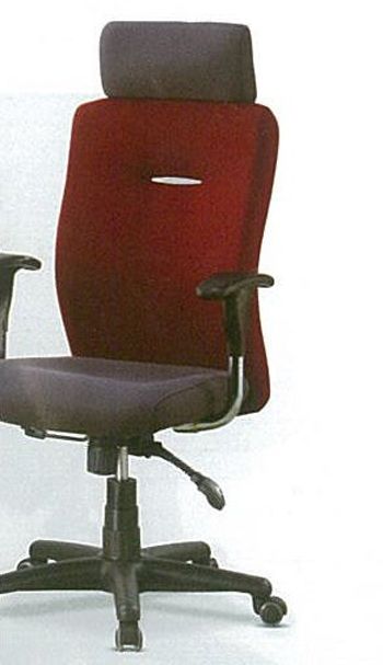 BL-24209 마에스트로 일반 대 