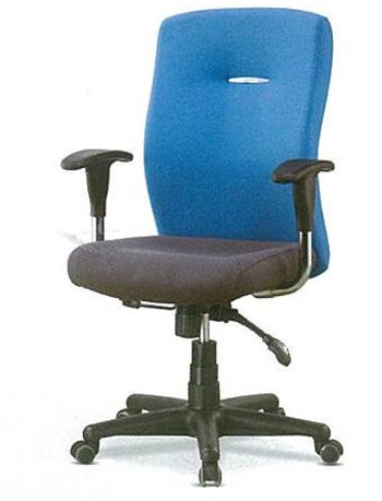 BL-24210 마에스트로 일반 중 